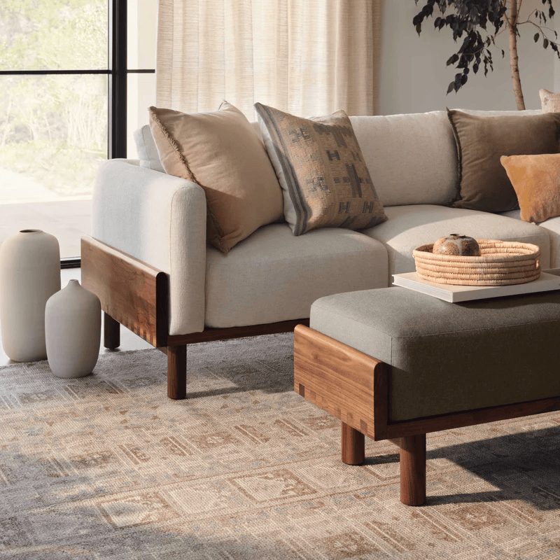 Sarasi Hand-Knotted Area Rug